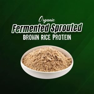 Organic Fermented Sprouted Brown Rice Protein