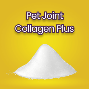 Pet Joint Collagen Plus
