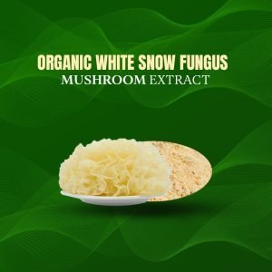Organic White Snow Fungus Mushroom Extract
