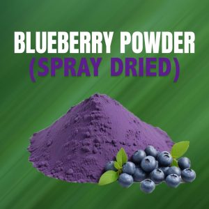 Blueberry Powder (Spray Dried)