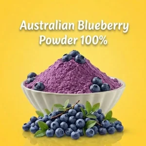 FD Australian Blueberry Powder 100%