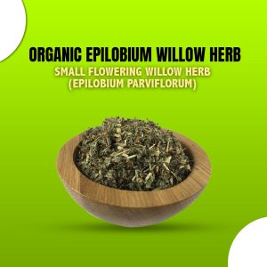 Organic Epilobium Willow Herb | Small Flowering Willow Herb (Epilobium parviflorum)