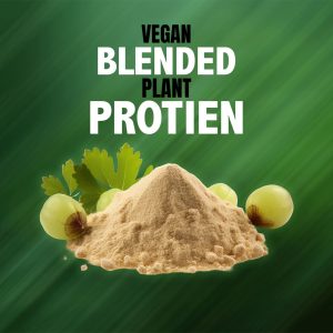Vegan Blended Plant Protein (buy 1kg & get 1kg free)