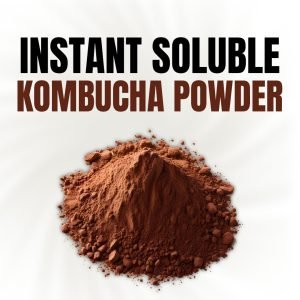 Instant Soluble Kombucha Powder
