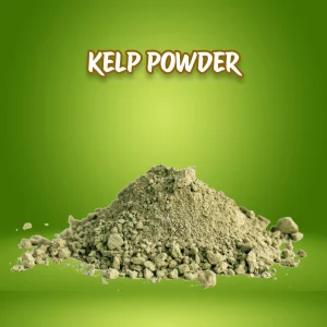 KELP POWDER