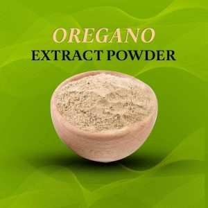 Oregano Extract Powder