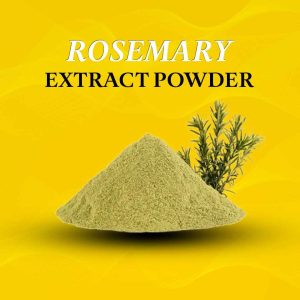 Rosemary Extract Powder