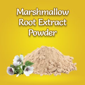 Marshmallow Root Extract Powder
