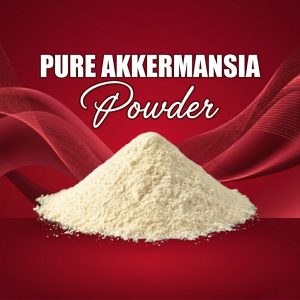 PURE AKKERMANSIA - (Muciniphila AH39)