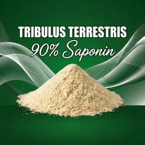 Tribulus Terrestris 90% Saponin - Testerone Booster