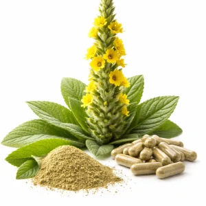 Mullein Capsules