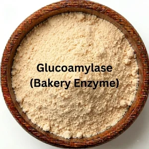 Glucoamylase (Bakery Enzyme)