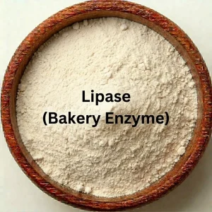Lipase (Bakery Enzyme)