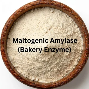 Maltogenic Amylase (Bakery Enzyme)