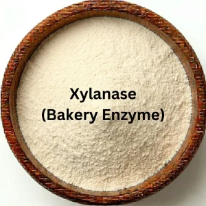Xylanase (Bakery Enzyme)