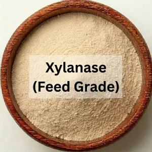 Xylanase (Feed Grade)